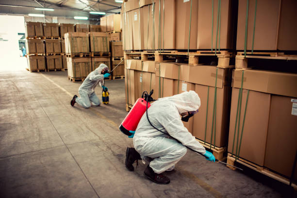Best Exterminator Services  in Bangor, WI