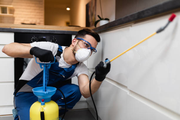Best Mosquito Control Services  in Bangor, WI