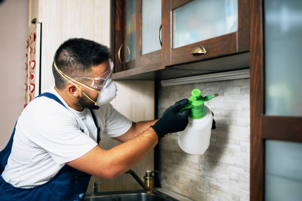 Best Mosquito Control Services  in Bangor, WI