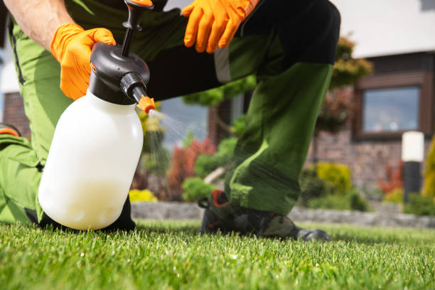 Best Termite Control Services  in Bangor, WI