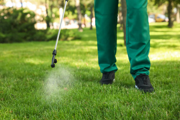 Best Insect Control  in Bangor, WI