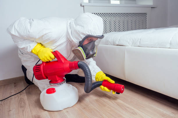 Best Best Pest Control Companies  in Bangor, WI