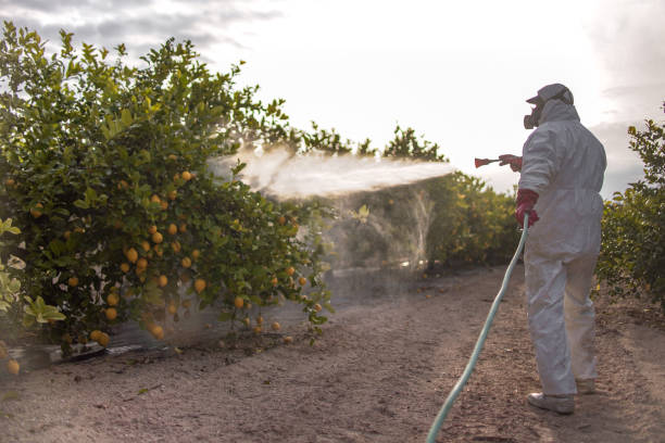 Best Pest Removal Services  in Bangor, WI