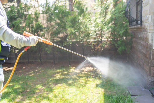 Pest Prevention Services in Bangor, WI