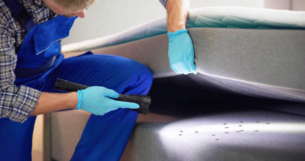 Best Local Pest Control Services  in Bangor, WI