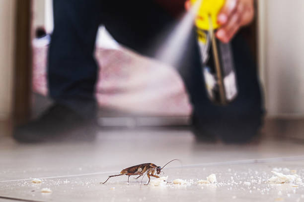 Best Affordable Pest Control Services  in Bangor, WI
