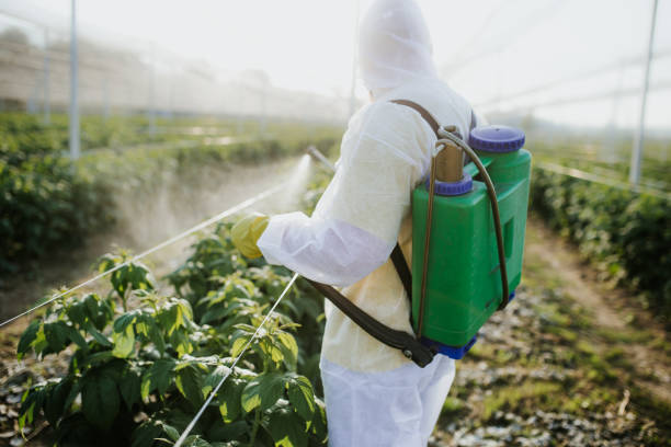 Best Cockroach Control Services  in Bangor, WI